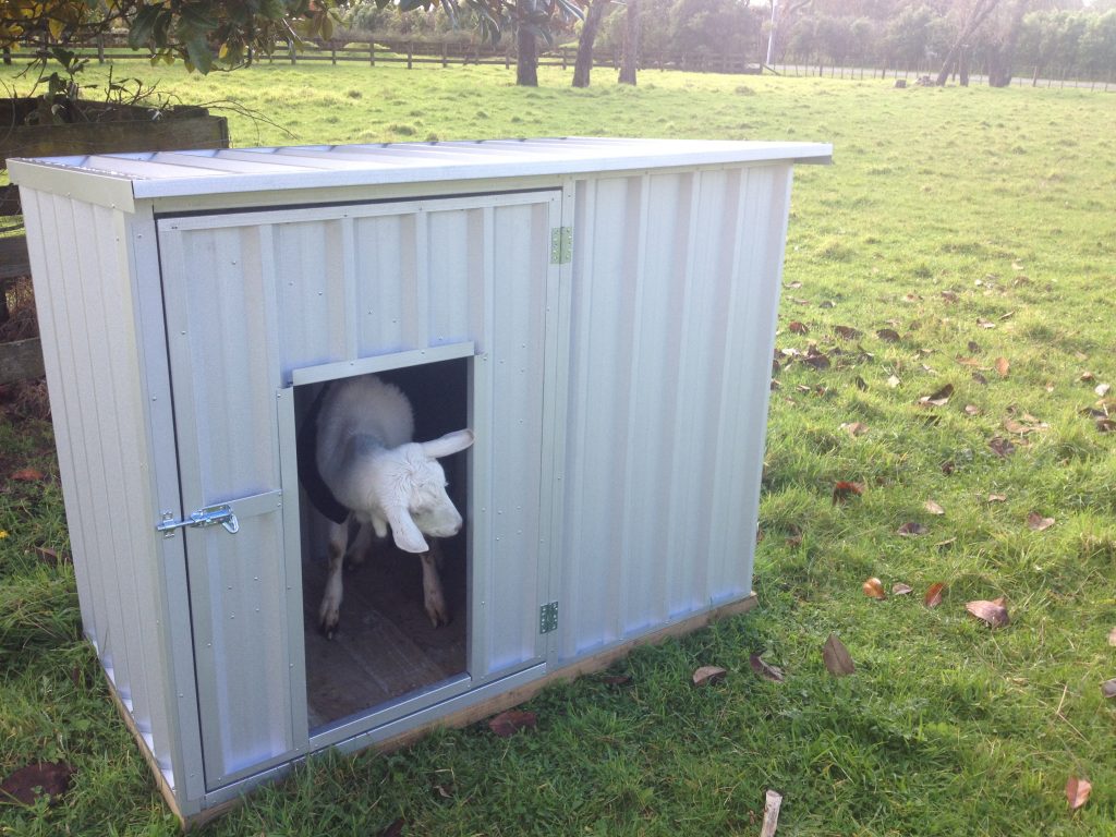 Goat Shed